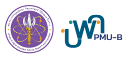 PMU-B logos